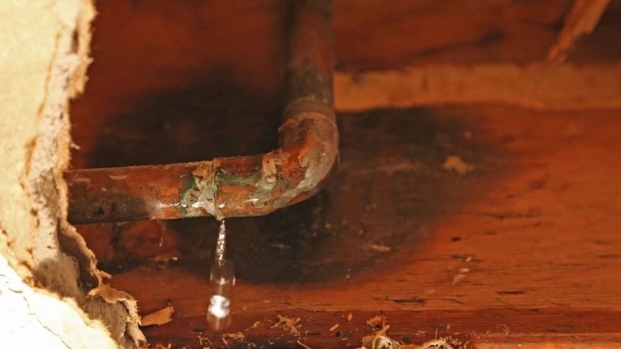 Rusty pipe leaking.